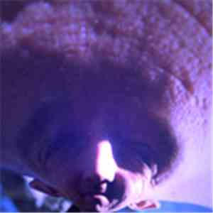 A Bit Crusher - Frag Limit = None download mp3 flac