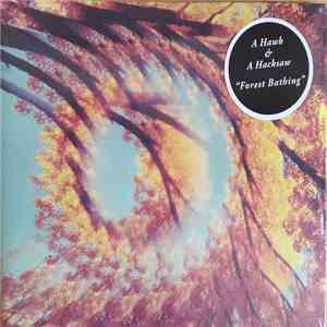 A Hawk And A Hacksaw - Forest Bathing download free