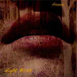 Amanda  - Night Birds download mp3 flac