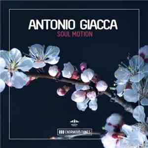 Antonio Giacca - Soul Motion download mp3 flac