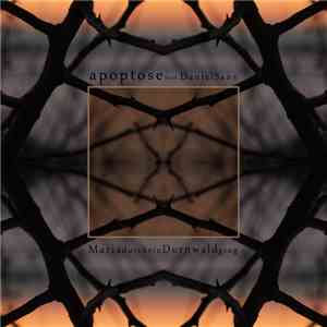 Apoptose Featuring Daniel Sans - Maria Durch Ein Dornwald Ging download free