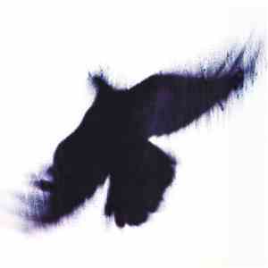 Blueneck - The Fallen Host download mp3 flac