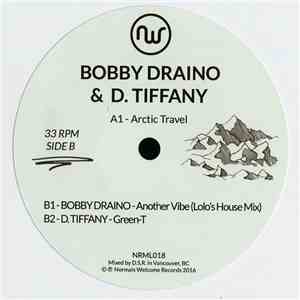 Bobby Draino & D. Tiffany - Arctic Travel download mp3 flac