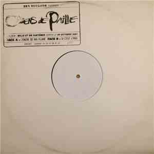Chiens De Paille - L'encre de Ma Plume download mp3 flac