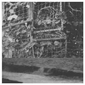 Cremation Lily - The Processes And Instruments Of Normal People; Trying And Failing, Falling And Water Running download mp3 flac