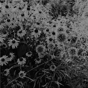 Daniel Spicer and Paul Khimasia Morgan - Sepertae download mp3 flac