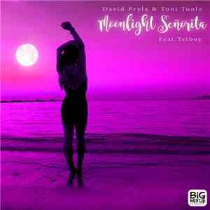 David Pryla, Toni Toolz - Moonlight Señorita Ft Telboy (Swing Deep Mix) download mp3 flac