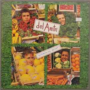 Del Amitri - Hammering Heart download free