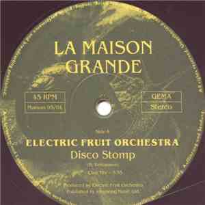 Electric Fruit Orchestra - Disco Stomp download free