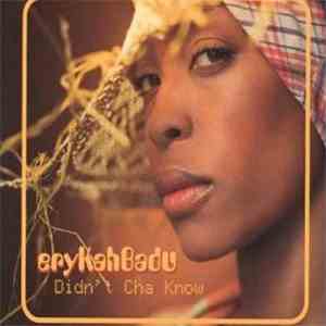 Erykah Badu - Didn't Cha Know download mp3 flac