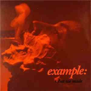 Example - What We Made download free