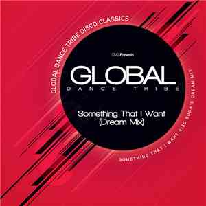 Global Dance Tribe - Something That I Want download mp3 flac