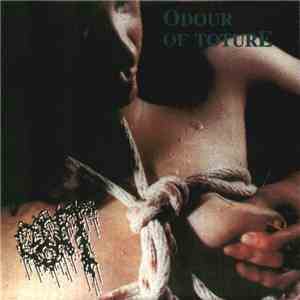 Gut - Odour Of Torture download free
