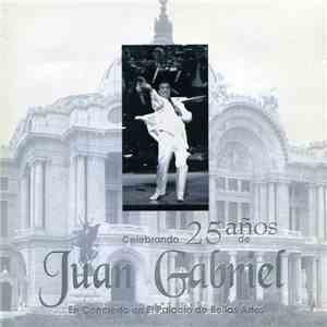 Juan Gabriel - En Concierto En El Palacio De Bellas Artes (Celebrando 25 Años) download mp3 flac