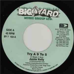 Junior Kelly - Try A 9 To 5 download mp3 flac