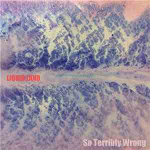 Liquid Land - So Terribly Wrong download mp3 flac