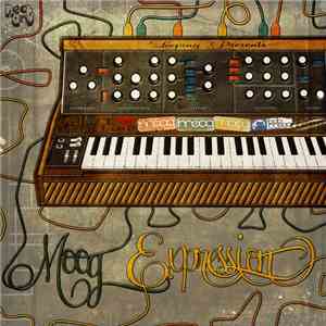 Looping  - Moog Expression download mp3 flac
