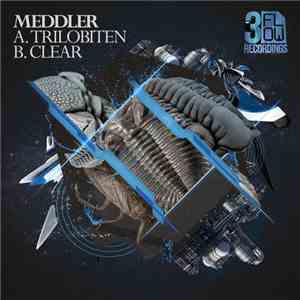 Meddler - Trilobiten / Clear download free