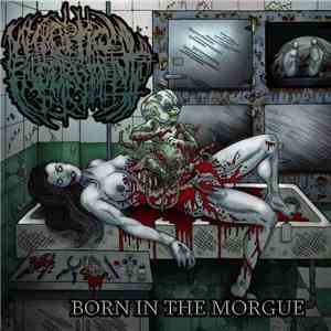 Necroptic Engorgement - Born In The Morgue download mp3 flac