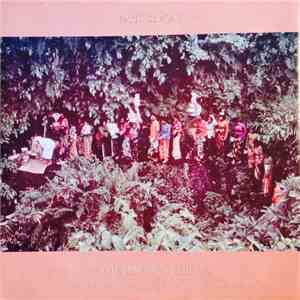 Paul Simon - The Obvious Child download mp3 flac