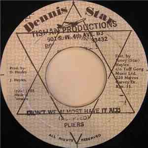 Pliers - Didn't We Almost Have It All download mp3 flac