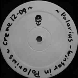 Polarius - Winter In Polarius download free