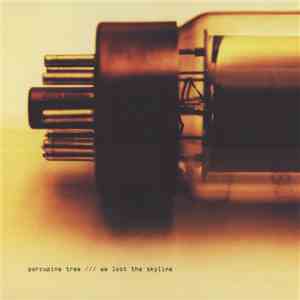 Porcupine Tree - We Lost The Skyline download mp3 flac