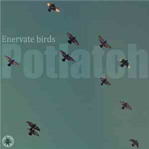 Potlatch - Enervate Birds download mp3 flac