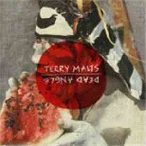 Terry Malts / Dead Angle - Shit Split download mp3 flac