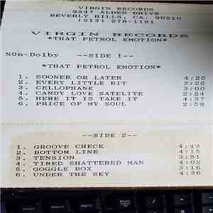 That Petrol Emotion - End Of The Millennium Psychosis Blues download mp3 flac