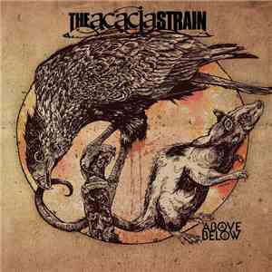 The Acacia Strain - Above/Below download mp3 flac
