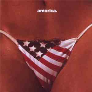 The Black Crowes - Amorica download mp3 flac