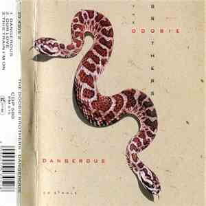 The Doobie Brothers - Dangerous download mp3 flac