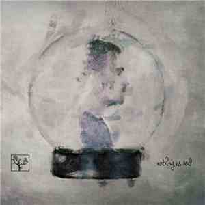 The Flashbulb - Nothing Is Real download mp3 flac