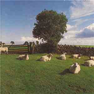 The KLF - Chill Out download mp3 flac