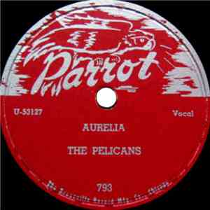 The Pelicans  - Aurelia / White Cliffs Of Dover download mp3 flac