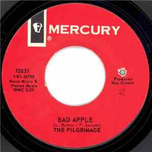 The Pilgrimage - Bad Apple download mp3 flac