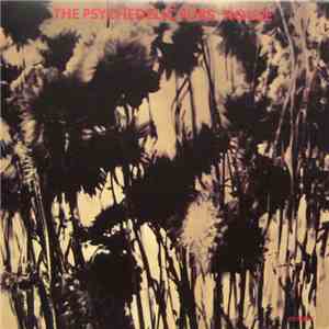 The Psychedelic Furs - House download mp3 flac