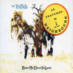 The Triffids - Bury Me Deep In Love download mp3 flac
