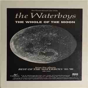 The Waterboys - The Whole Of The Moon download mp3 flac